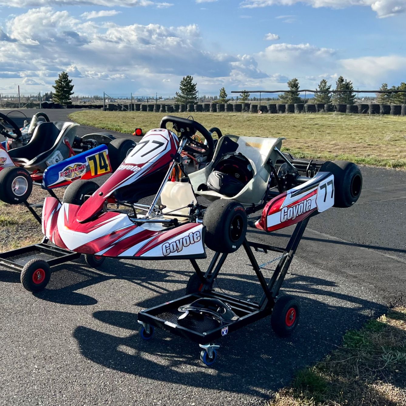 Profile of Shane Myr