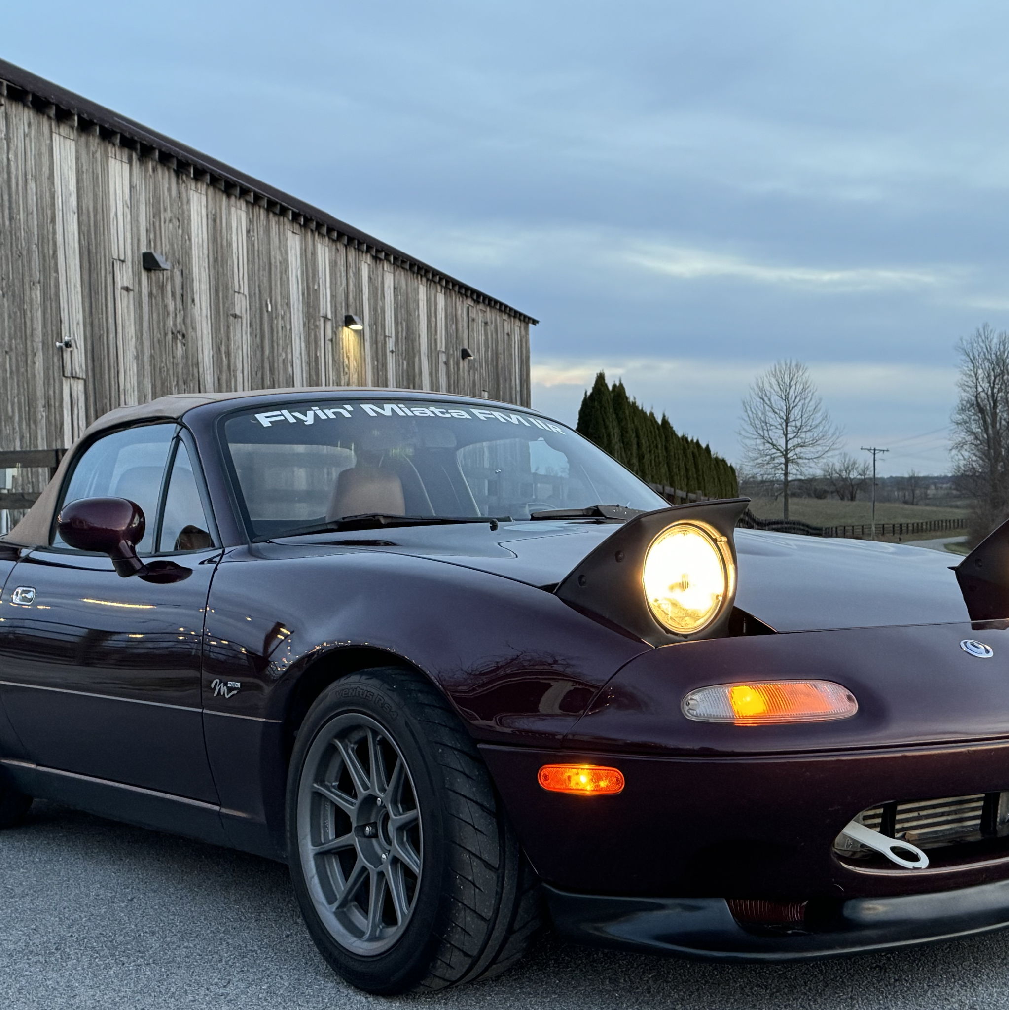 Profile of Joe Young