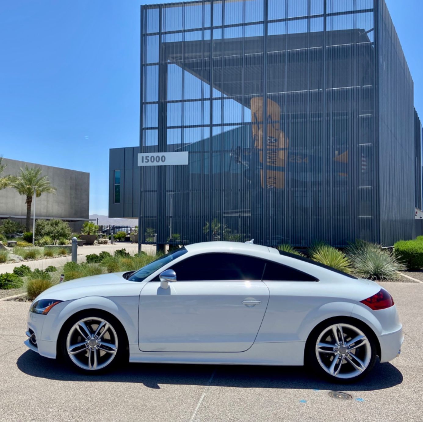 Profile of Jess Nicholson