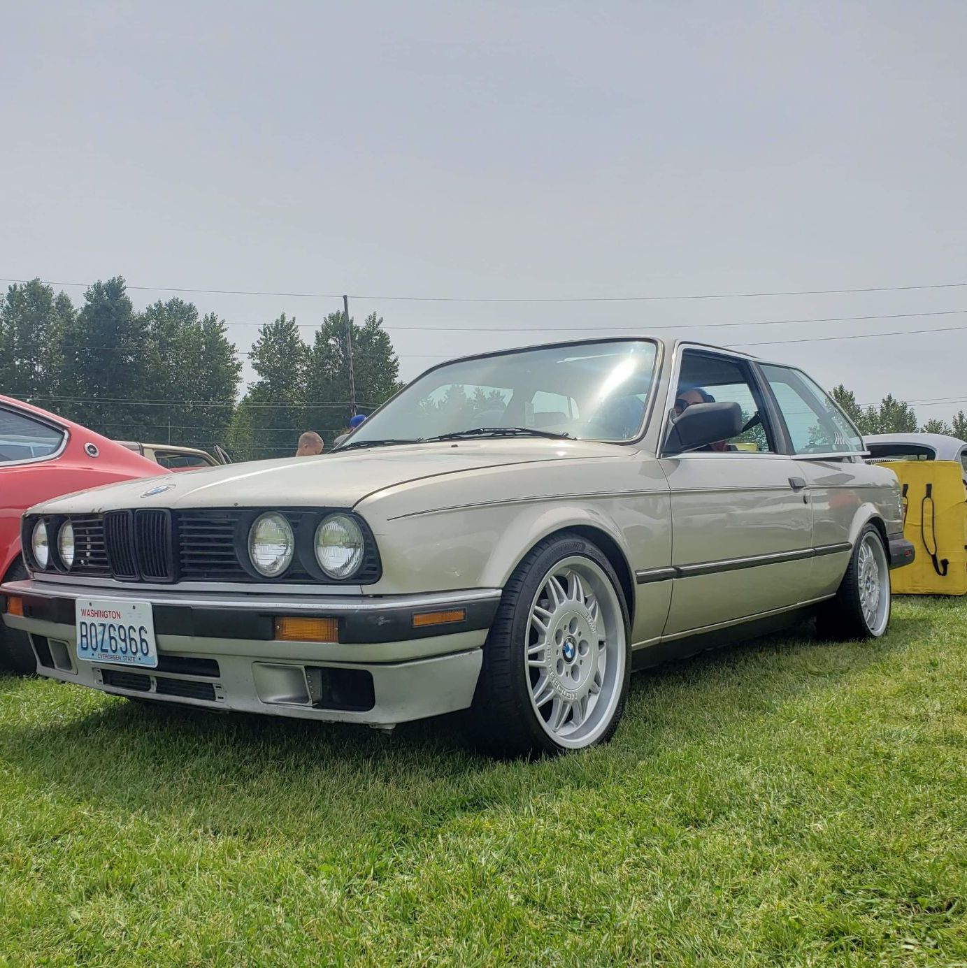 Profile of Caitlyn Rainer