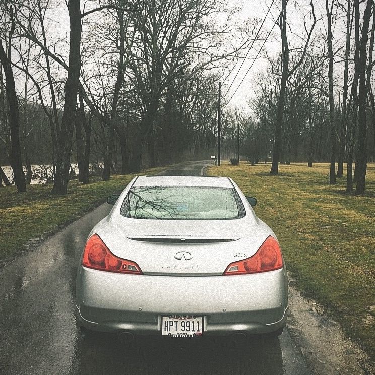 Profile of Antonio Ranieri