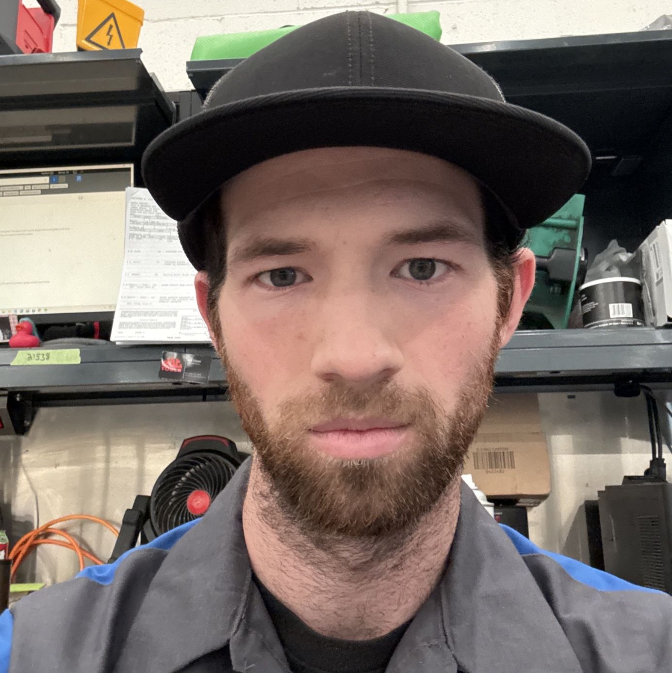 Profile of Logan Webb