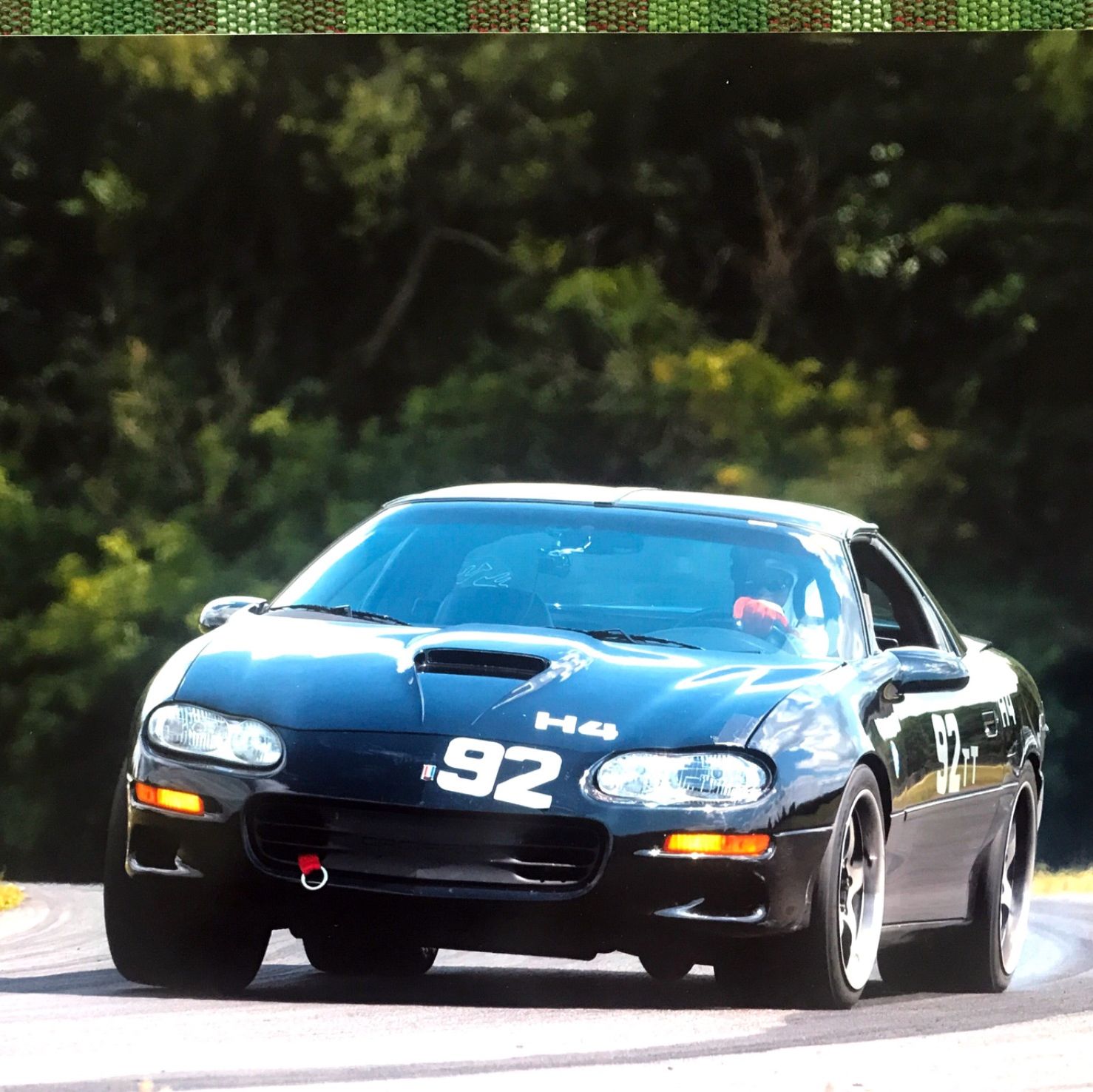 Profile of David Sigler