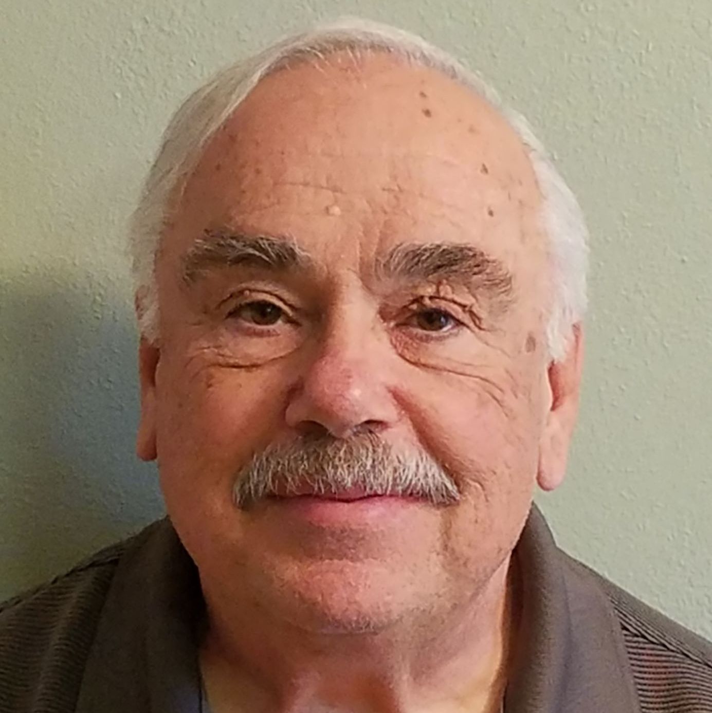Profile of Tom Mesich