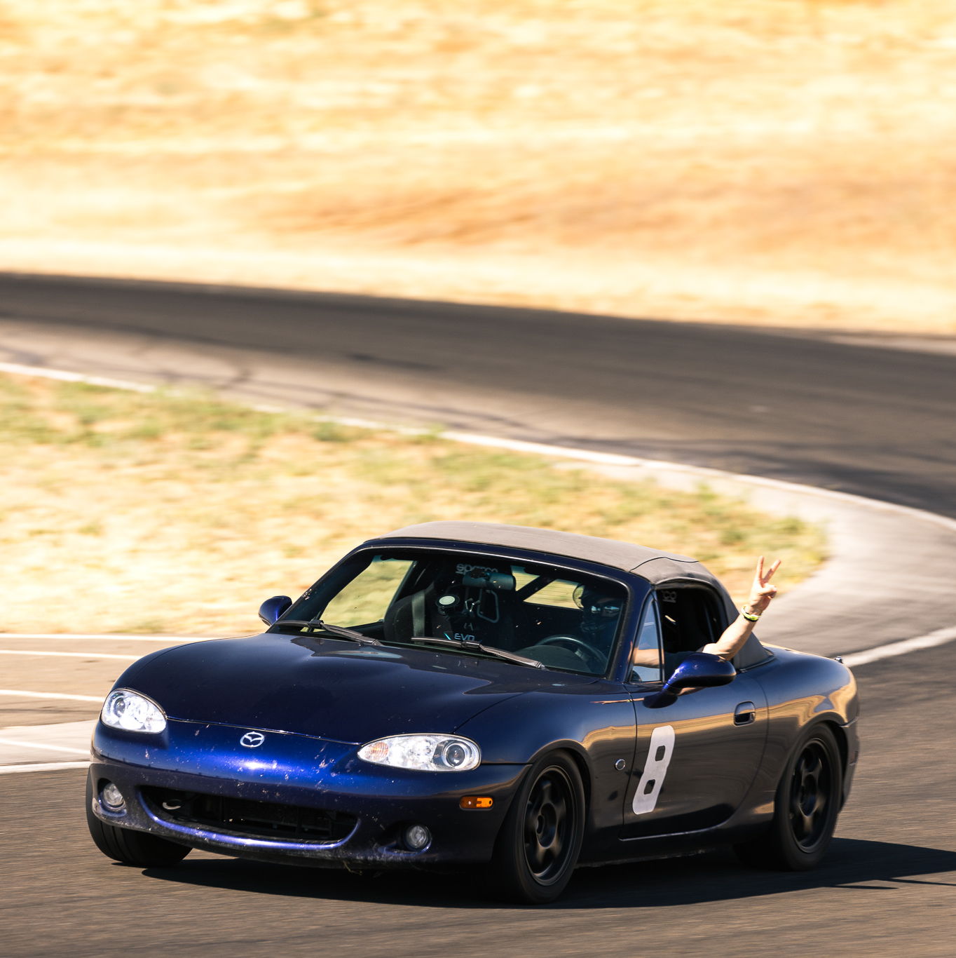 Profile of Spencer Sim