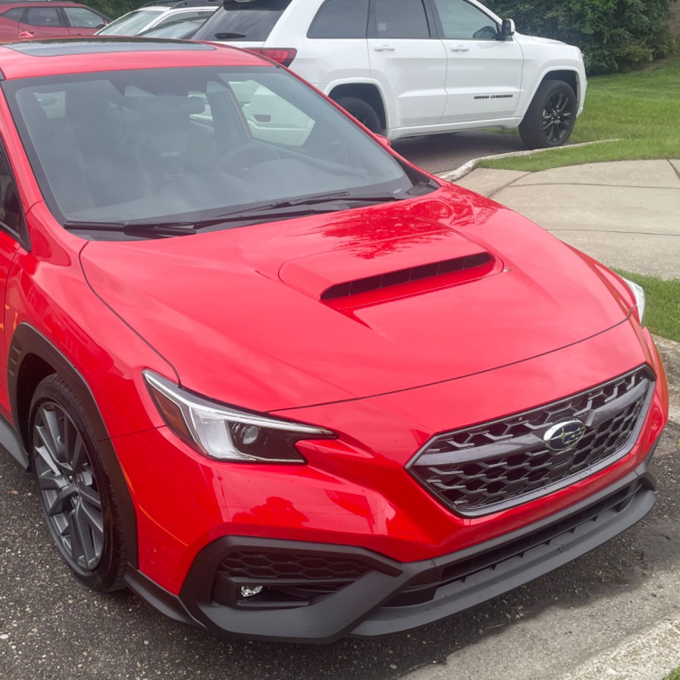 Profile of Andrew Brown