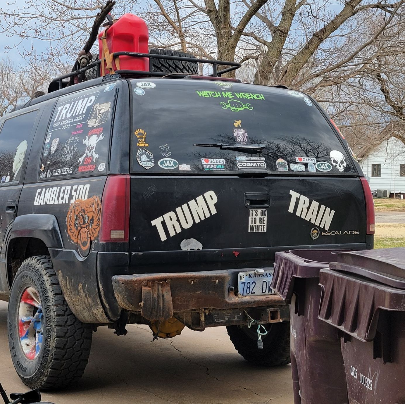 Profile of Oree Klein