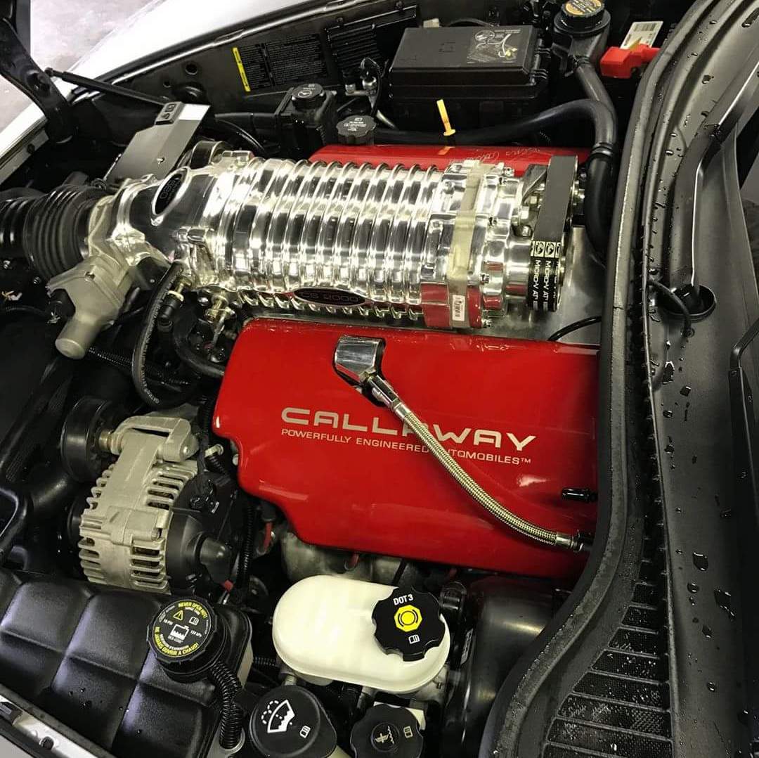 Profile of Wade Miller