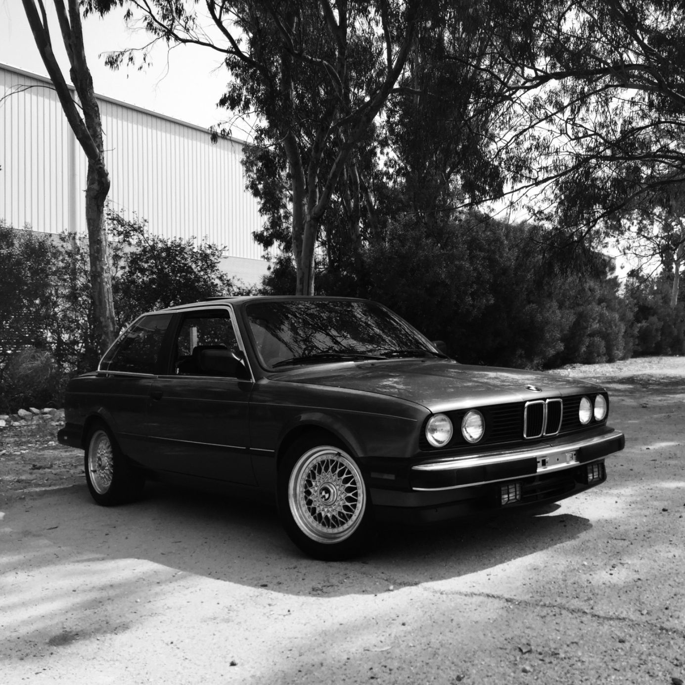 Profile of Jerm Vand