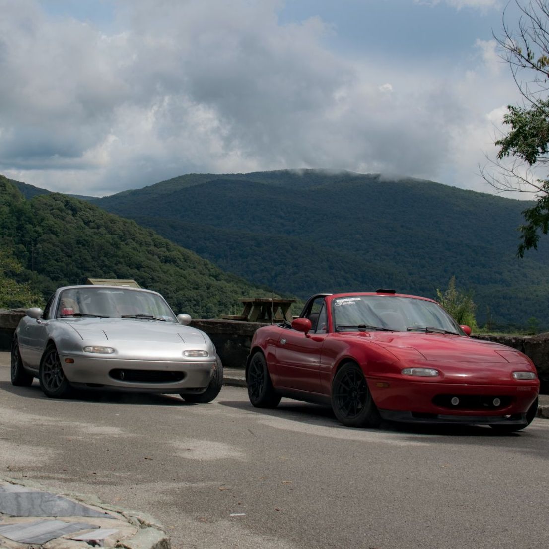 Profile of Gabriel Gretz