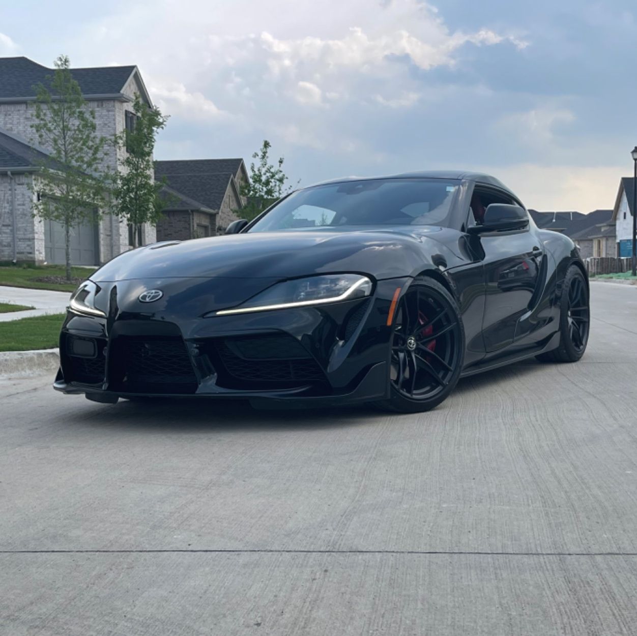 Profile of Bradley Alvis