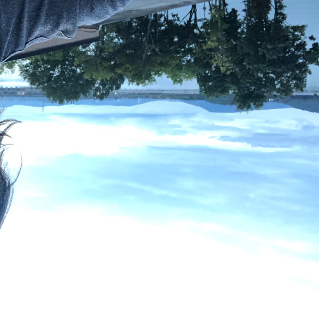 Profile of William Helton