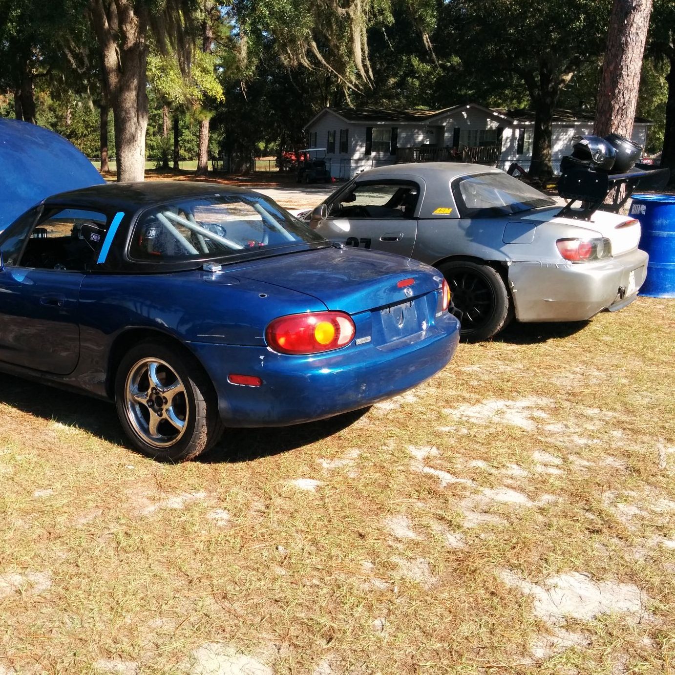 Profile of Daniel Walters