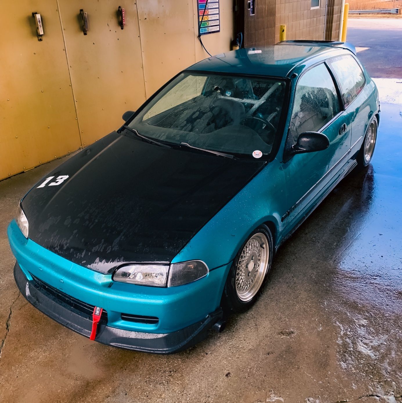 Profile of Tyler Potrykus