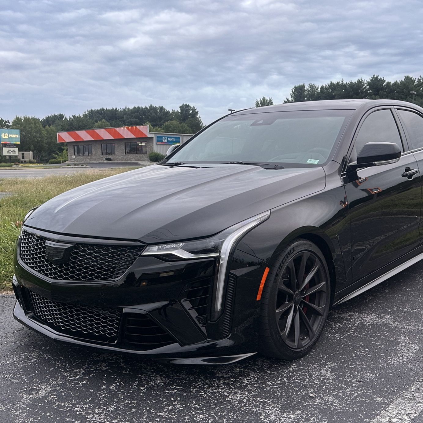 Profile of Adam Boca