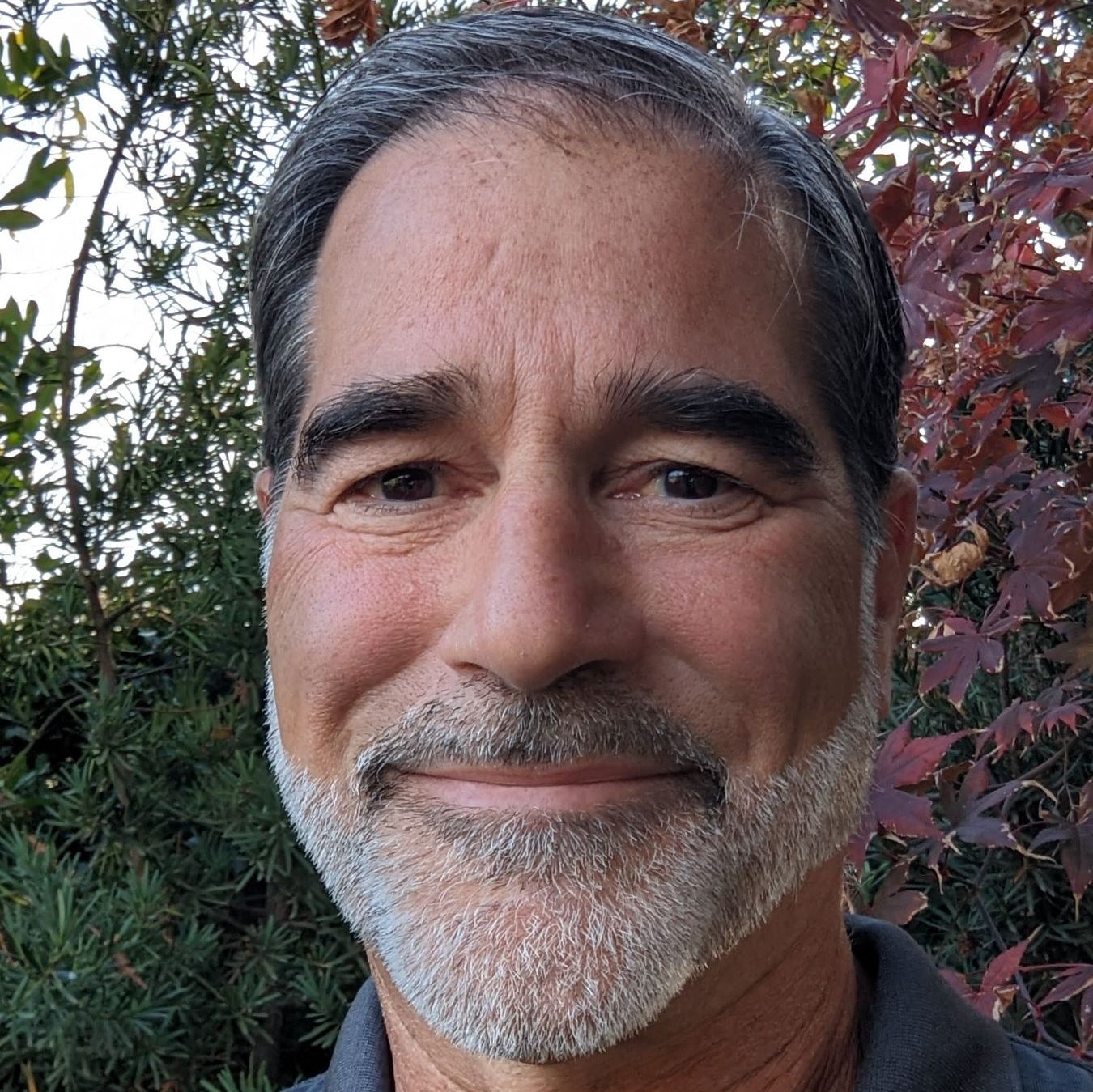 Profile of Dave Comerchero
