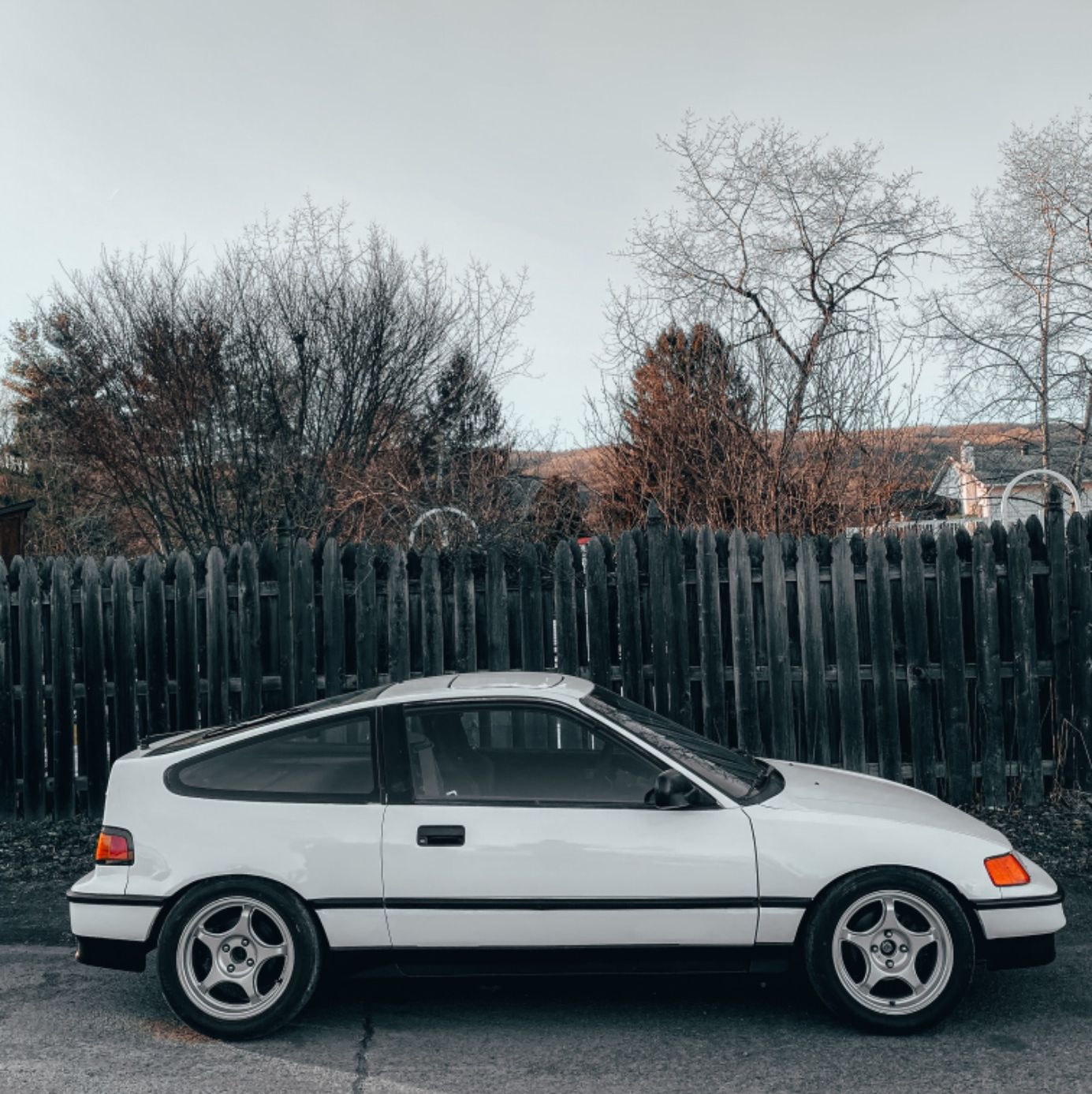 Profile of Chad Washesky