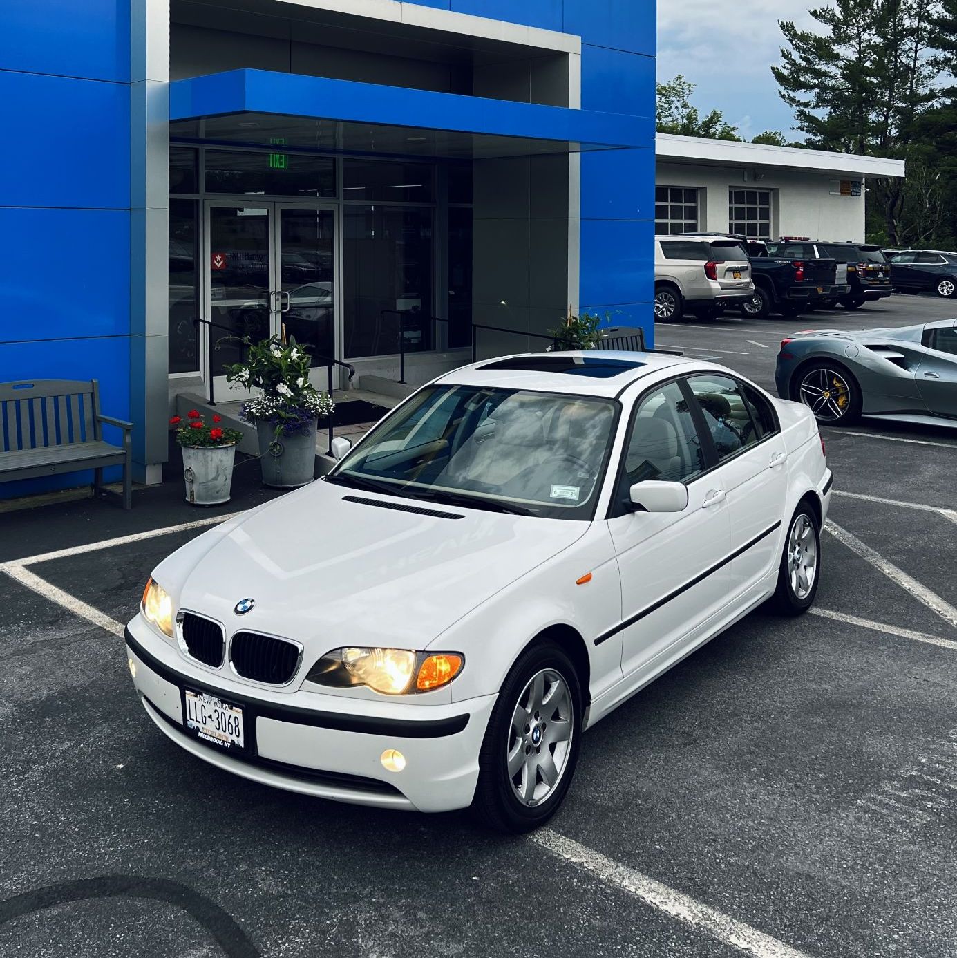 Profile of Joseph Brink