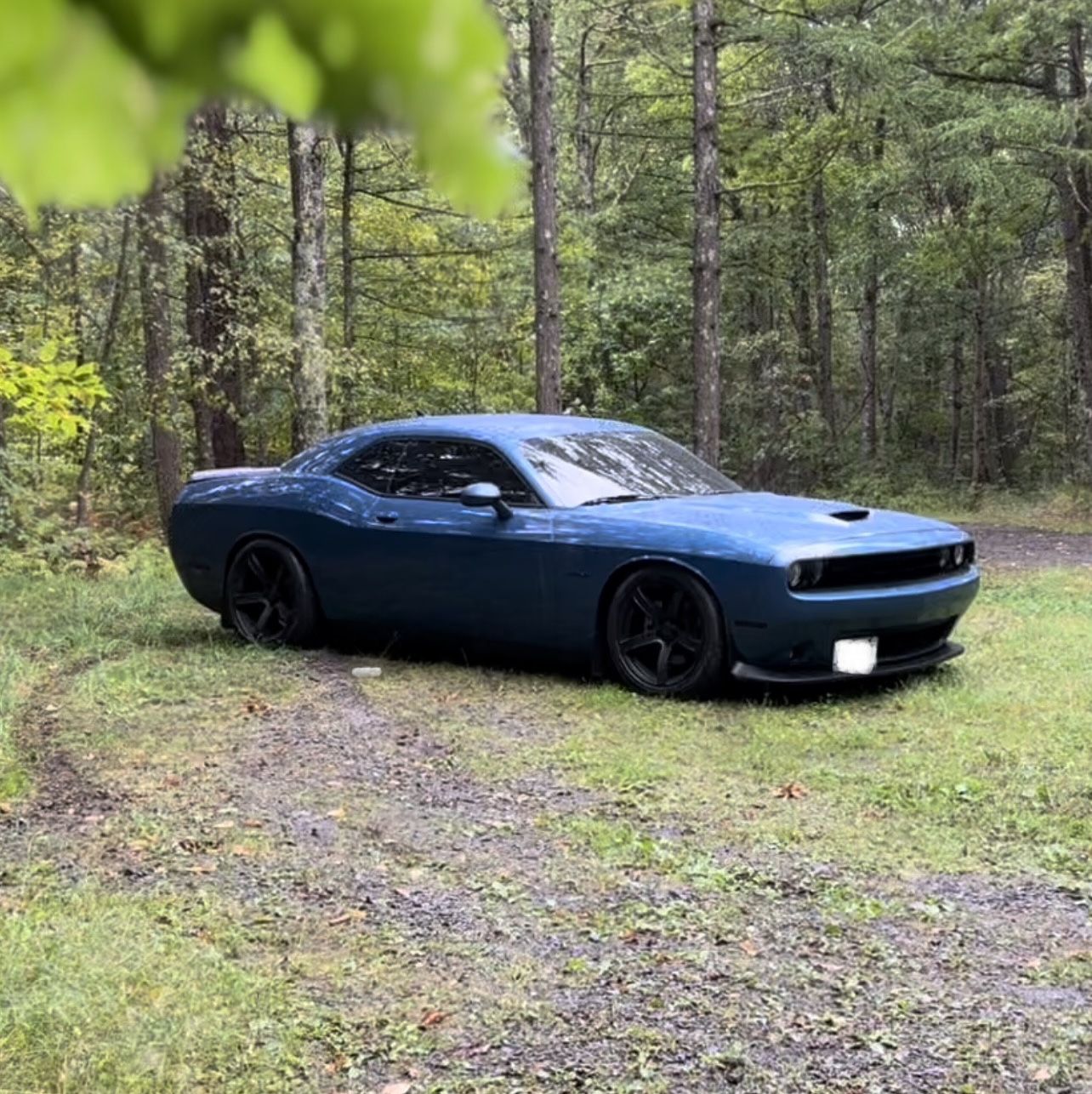 Profile of Meir Klein