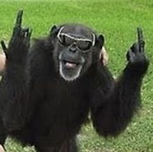 Profile of Bret Schwartz