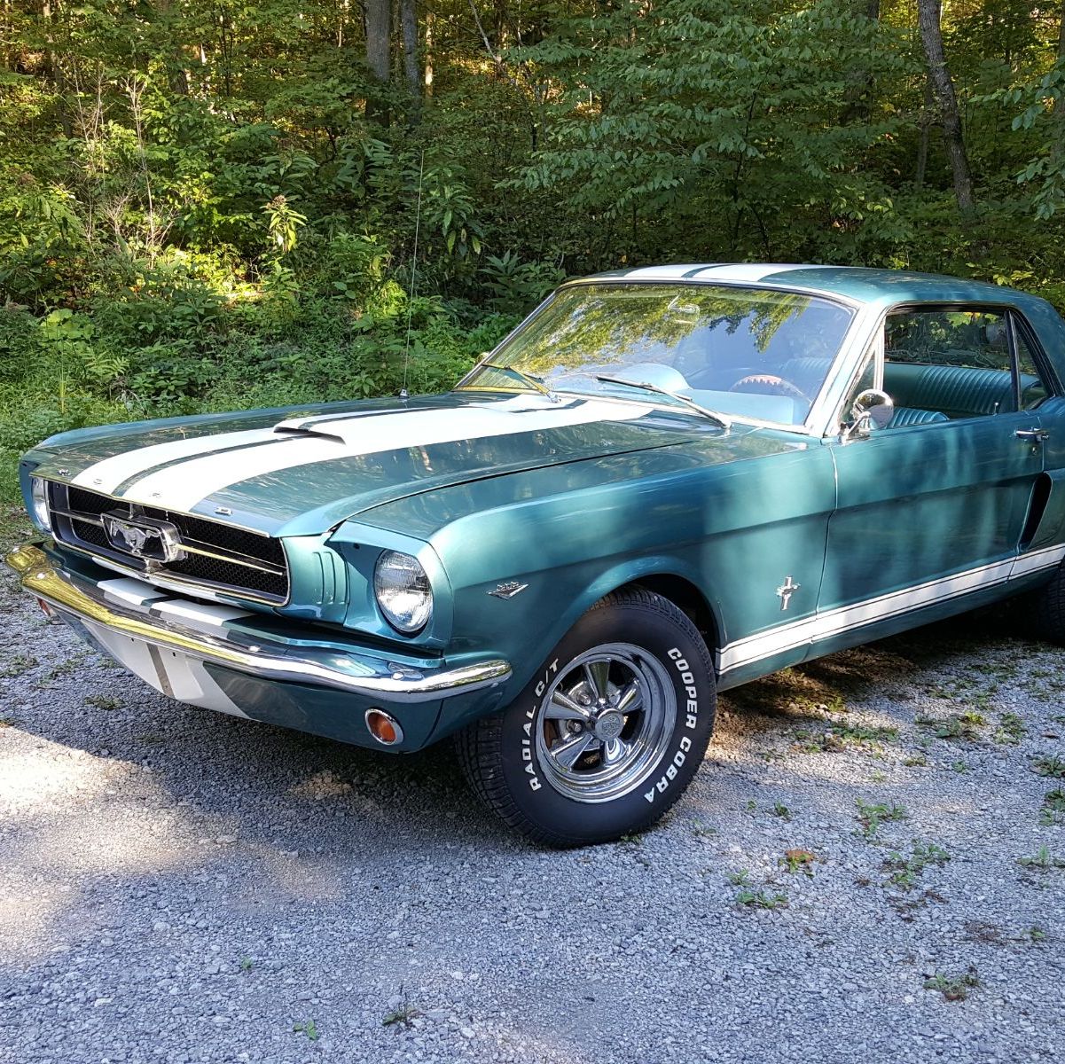 Profile of Rhonda Pine