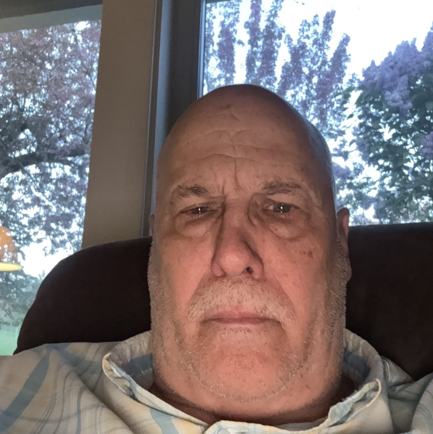 Profile of Dave Waldo
