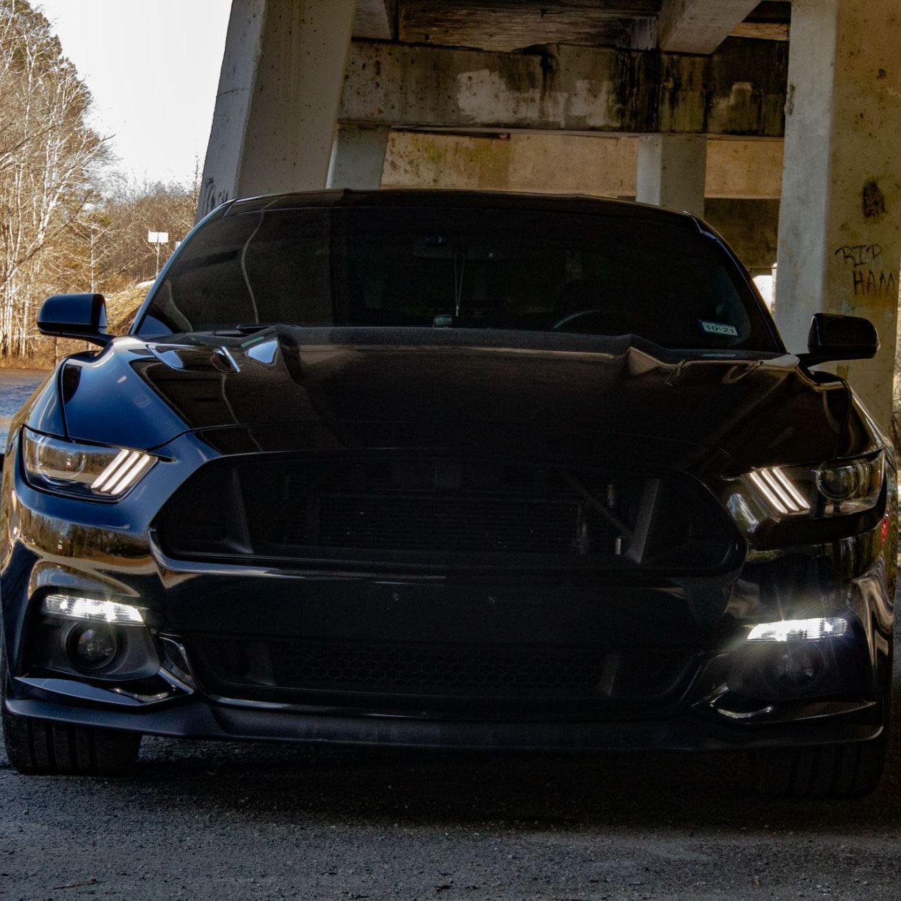 Profile of Raphael Gonzalez