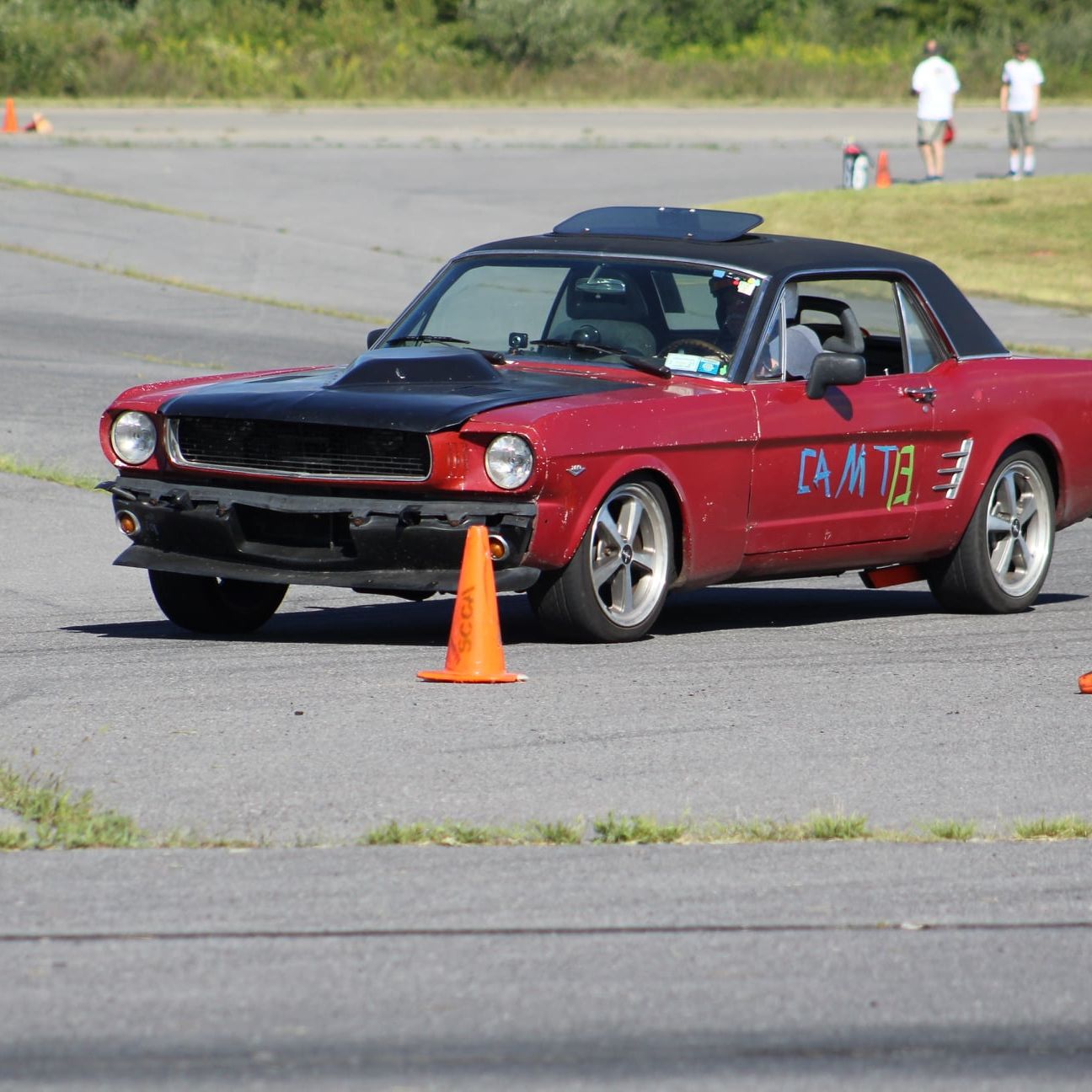 Profile of Brad Kellogg