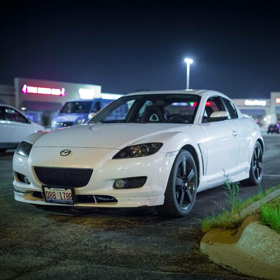 Profile of David Schultz