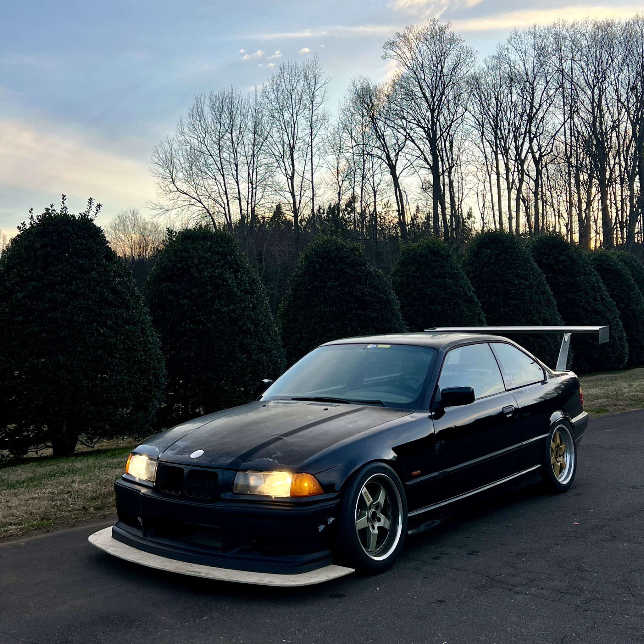 Profile of Austin Vuolo