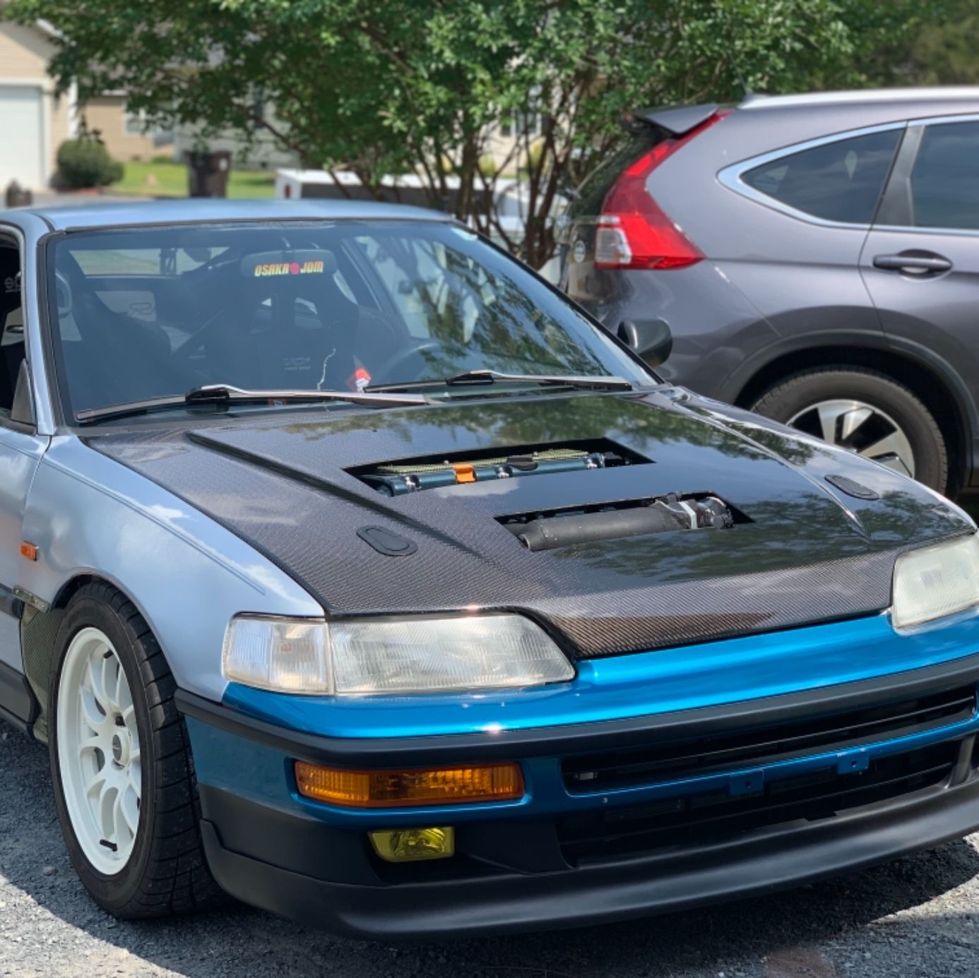 Profile of Dylan Langaman