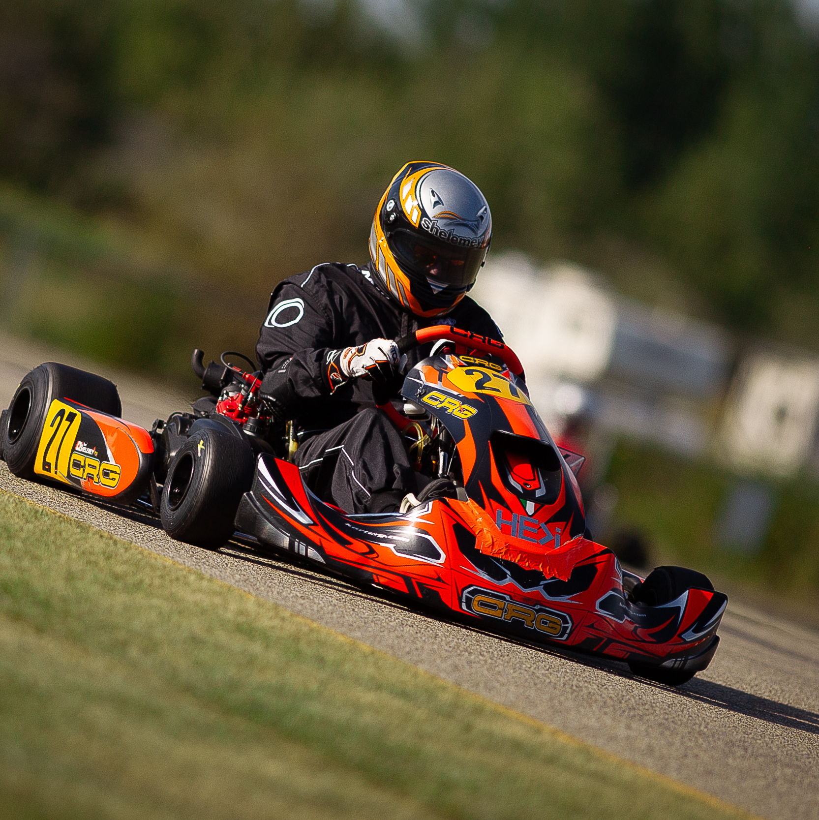 Profile of Troy Shelemey