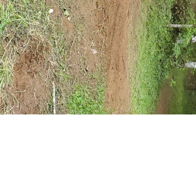 Profile of Shiloh Downer