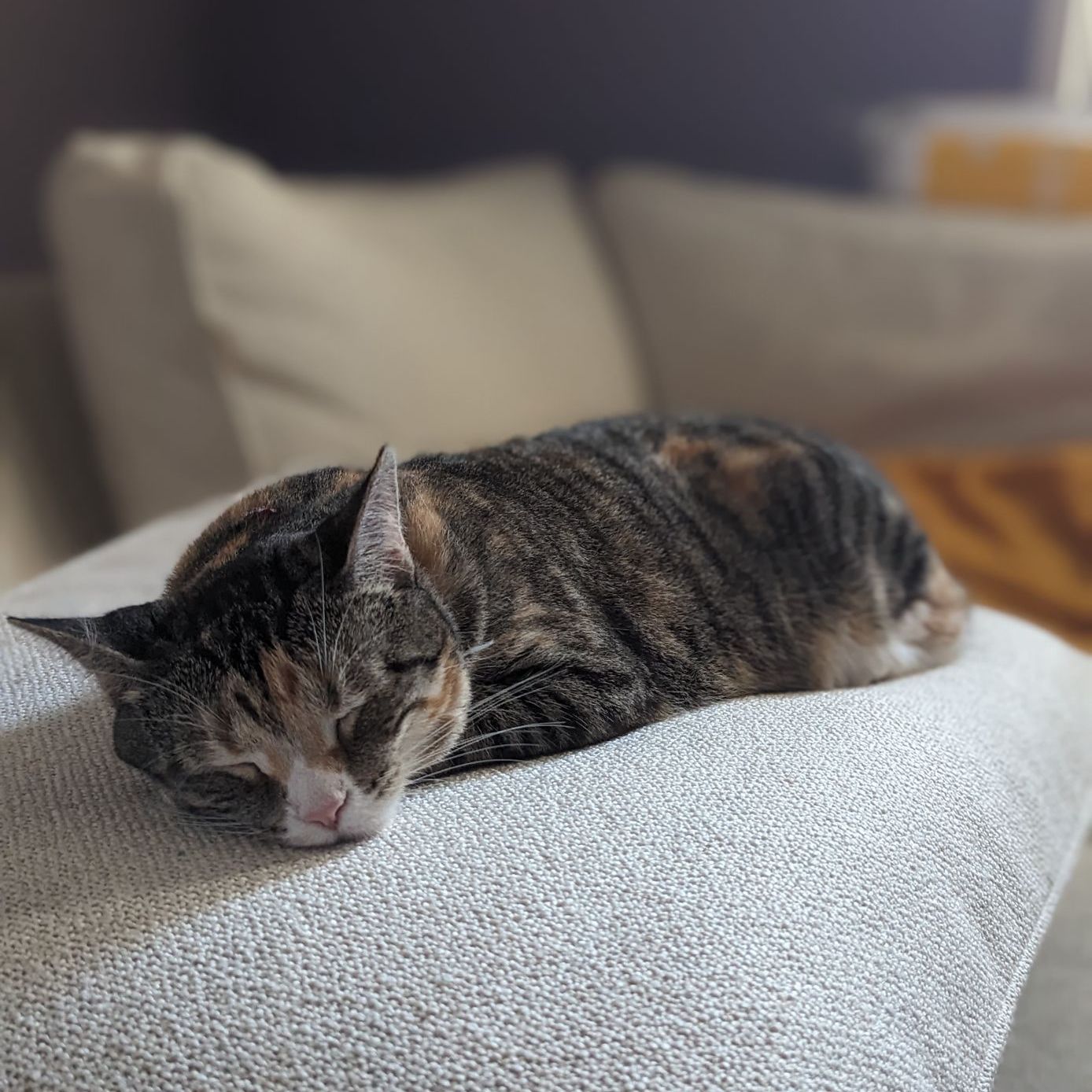 Profile of Lorde Aldrin Grande