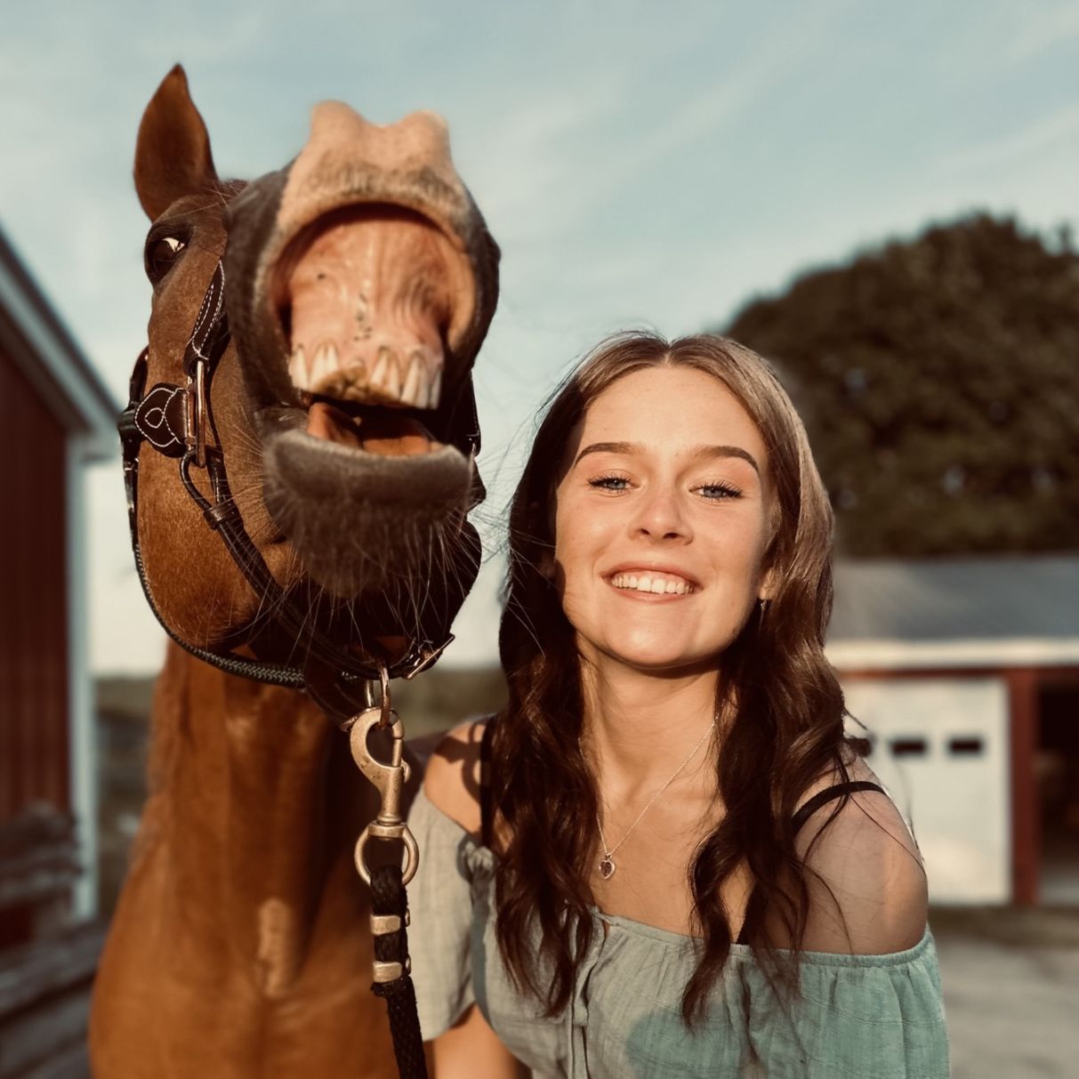 Profile of Amanda Clemons