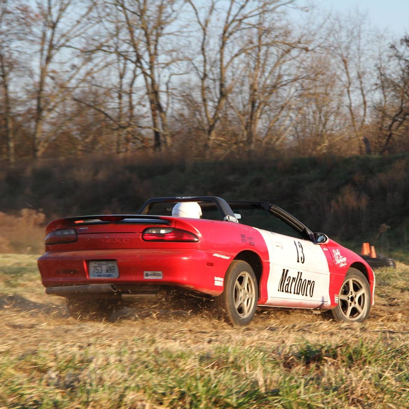 Profile of Grant Inge