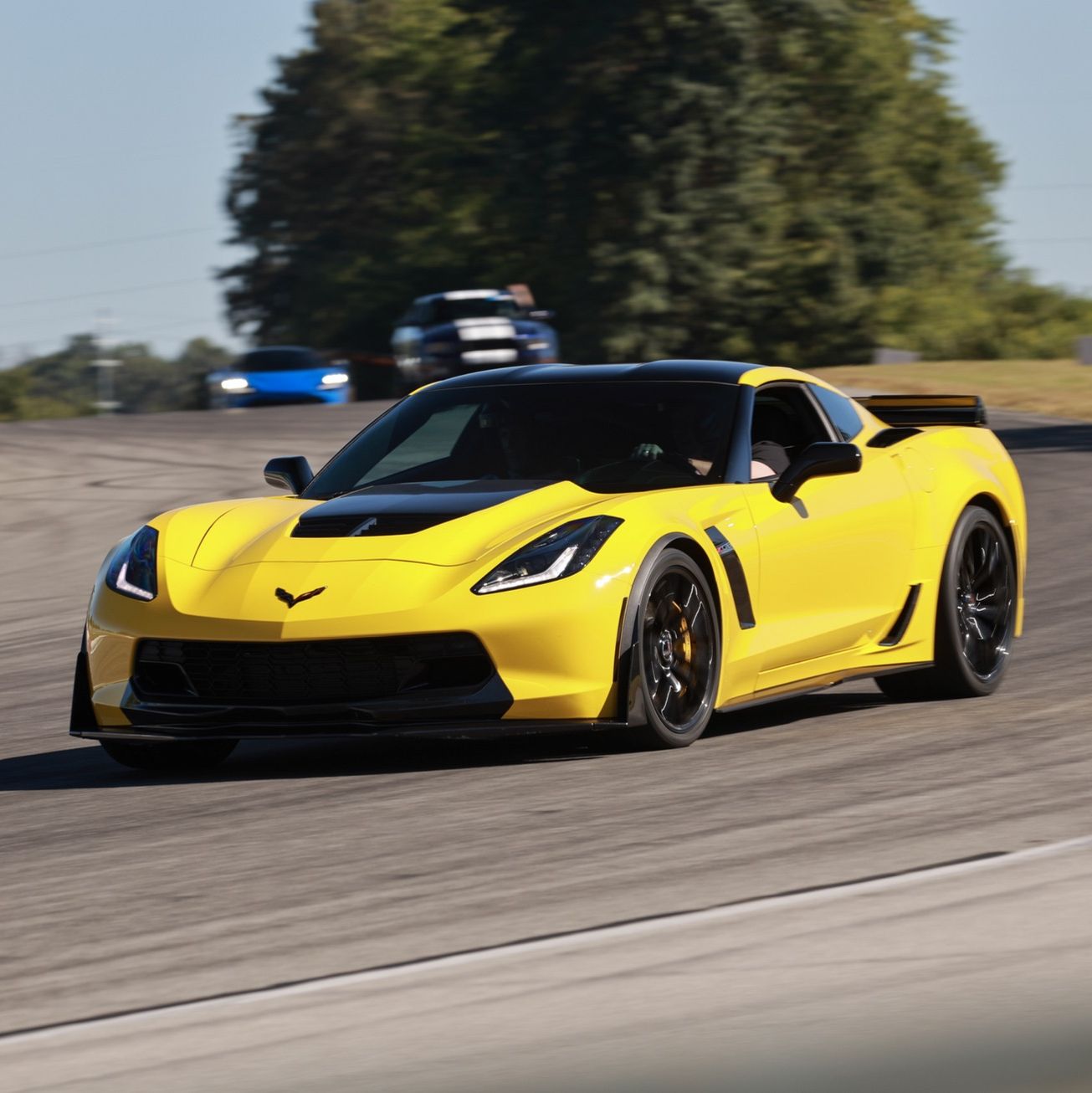 Profile of Todd Sale