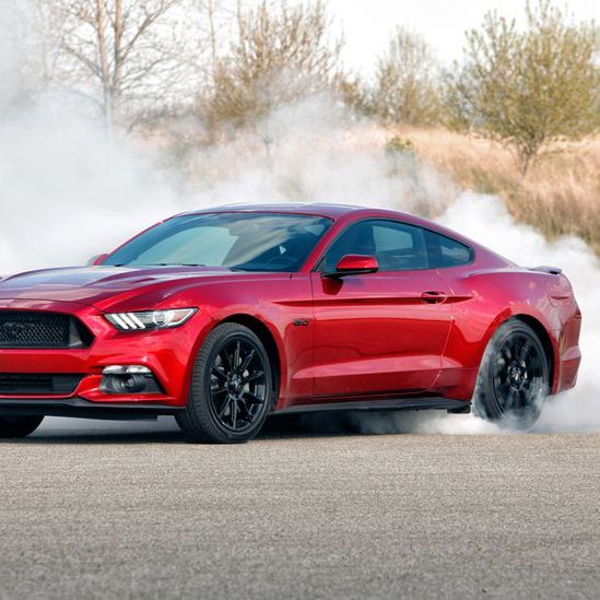 Profile of Craig Morrison