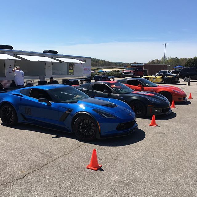 Profile of Teresa Watkins