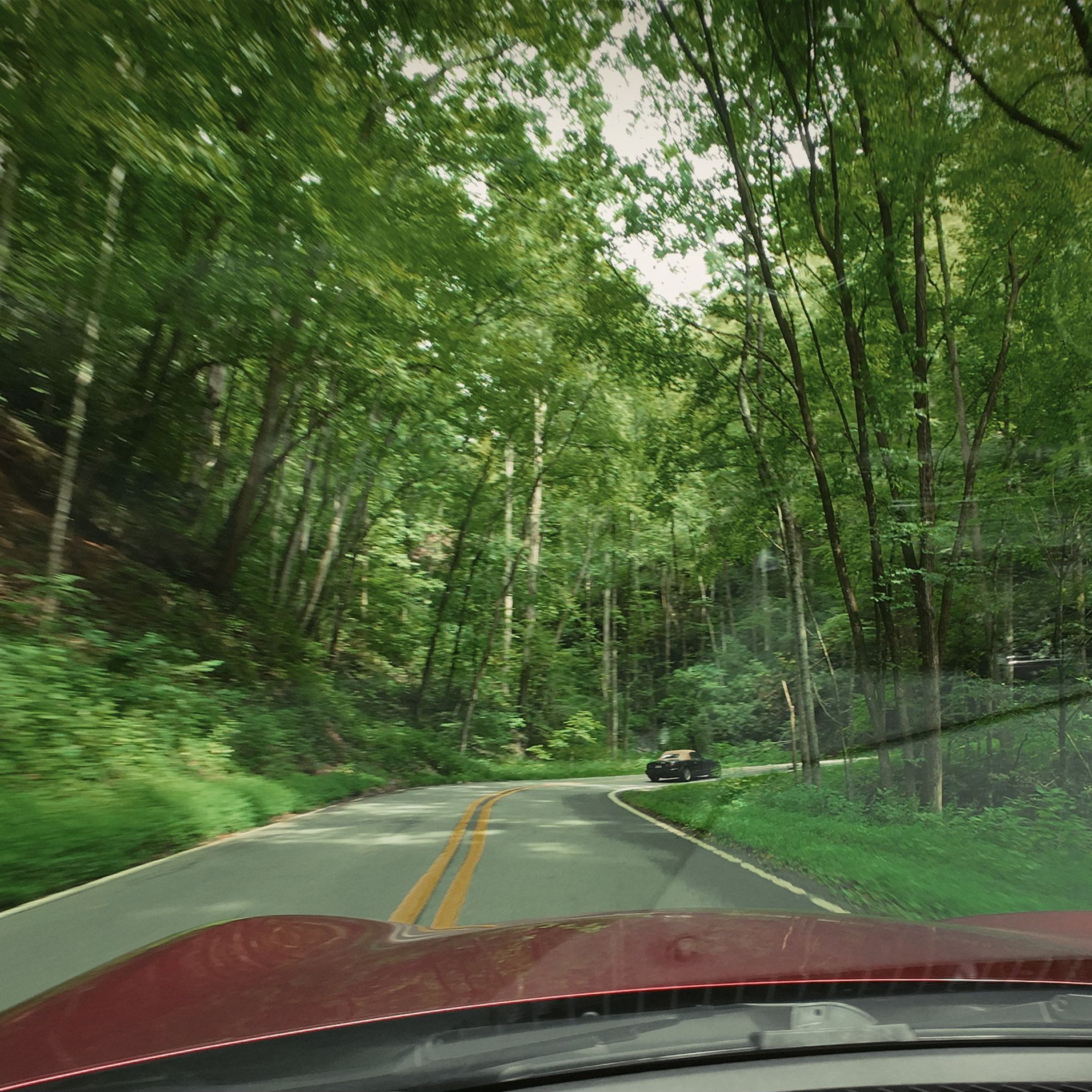 Profile of Bruce Stanley