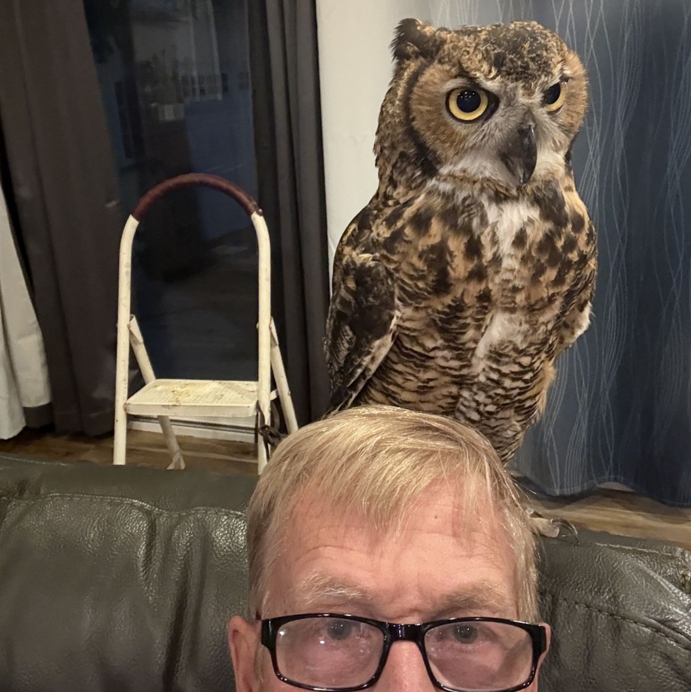 Profile of James Higbee