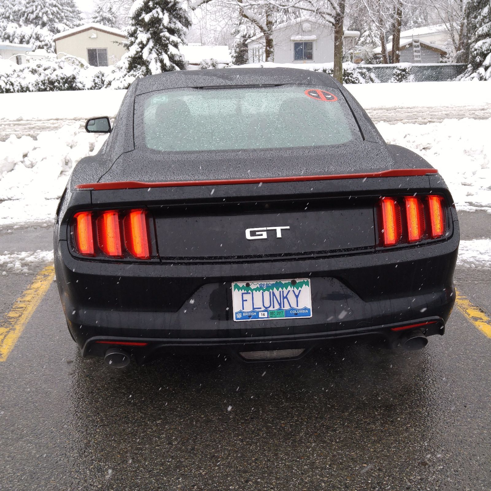 Profile of Aydean Mehri