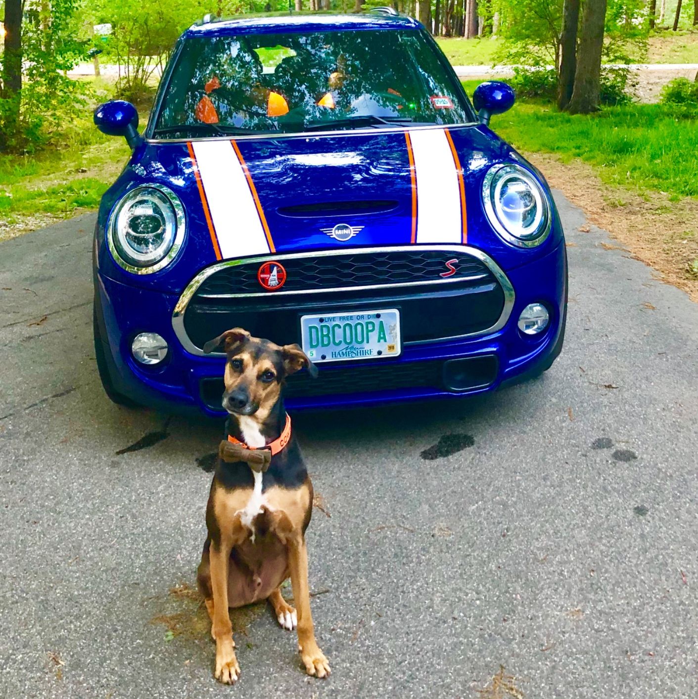 Profile of Jay Rivais