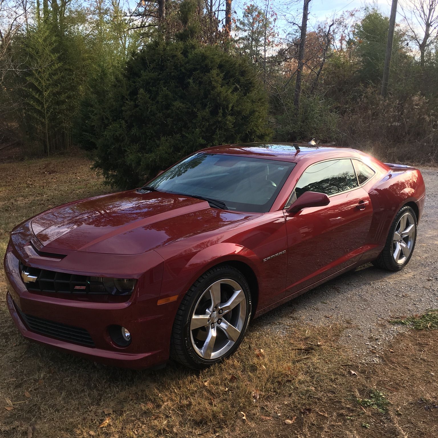 Profile of Kenneth Shirley