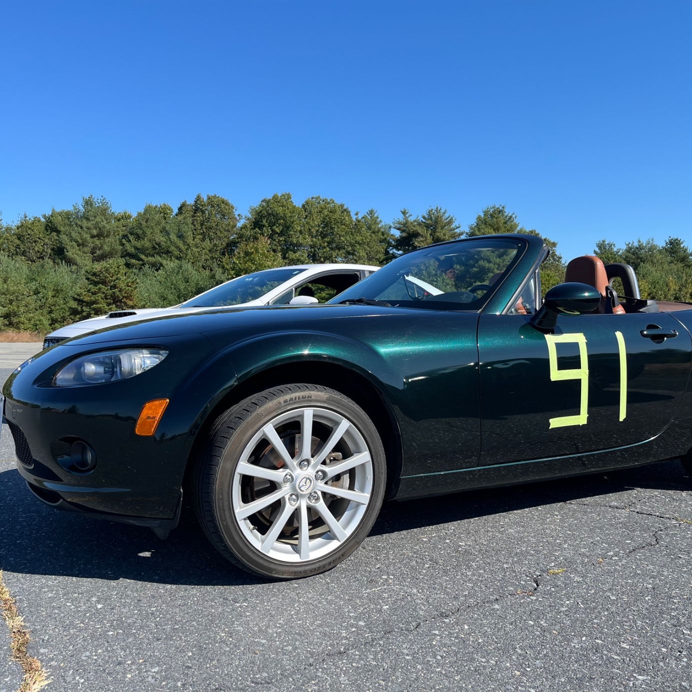 Profile of Xinyang Tan