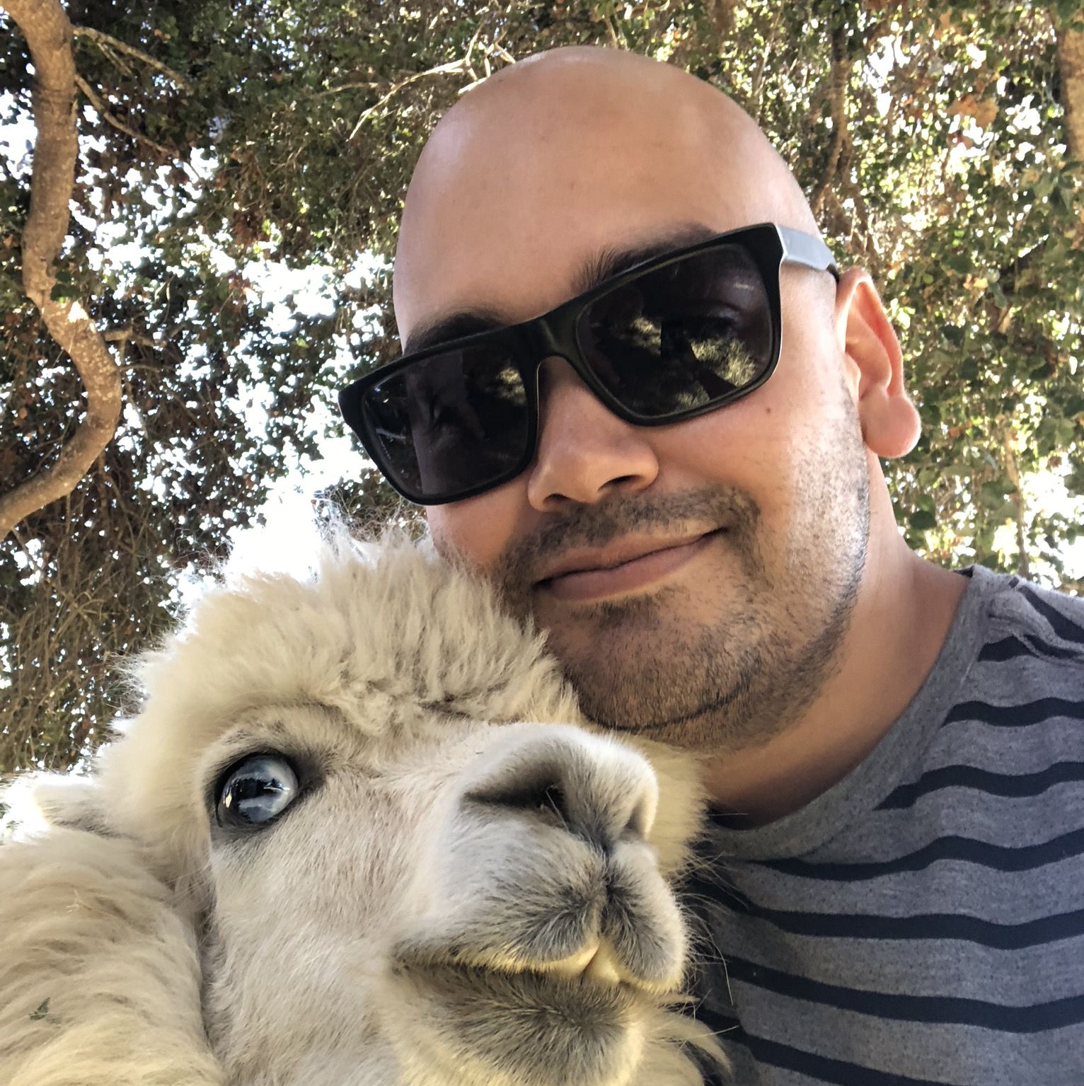 Profile of Anthony Sims