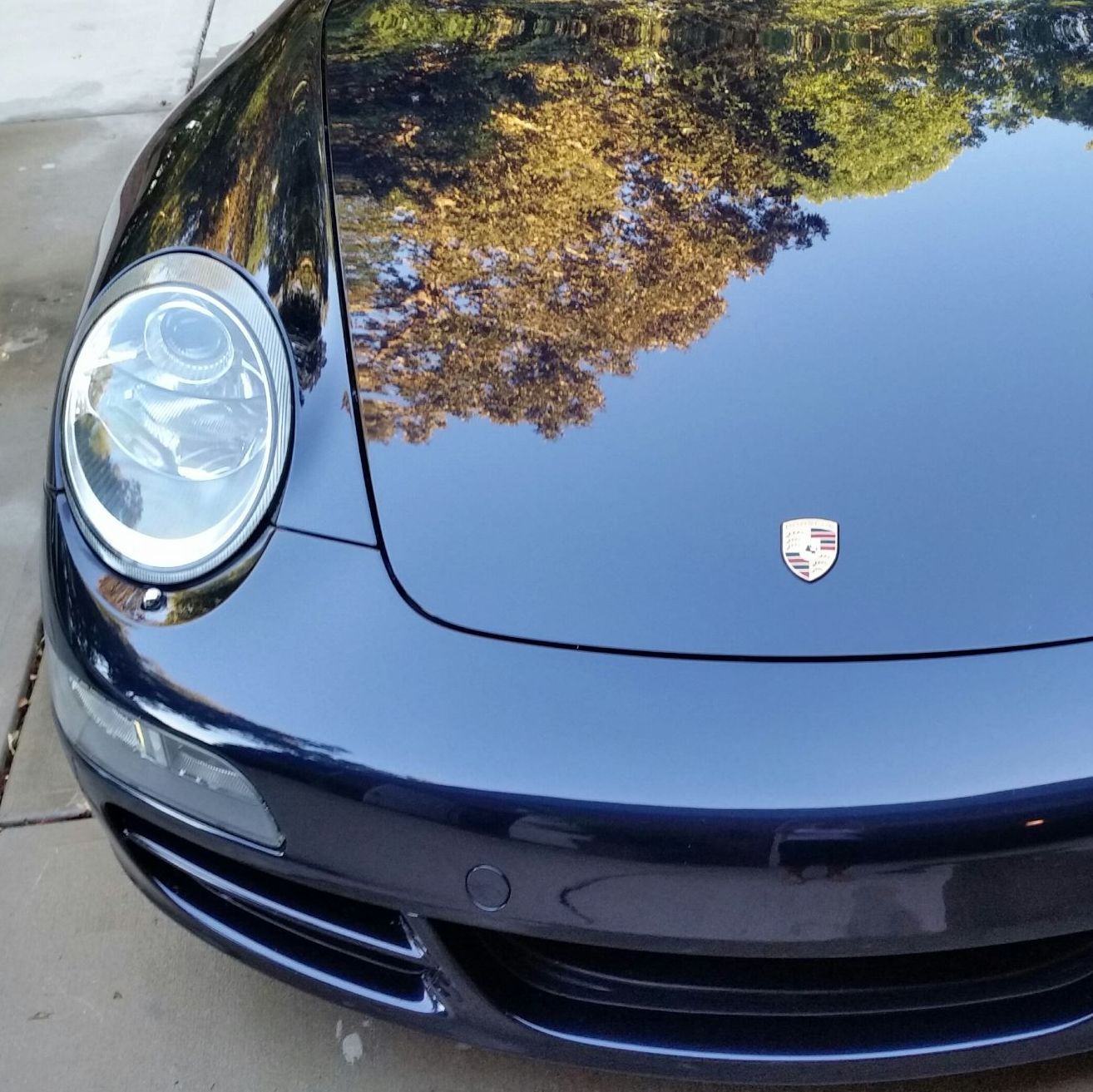 Profile of Nancy Hannah