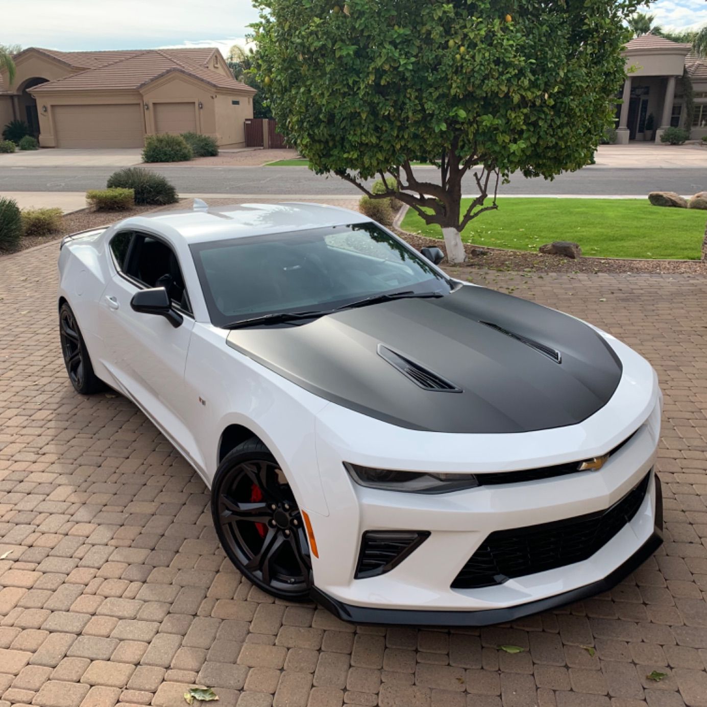 Profile of Preston Padilla