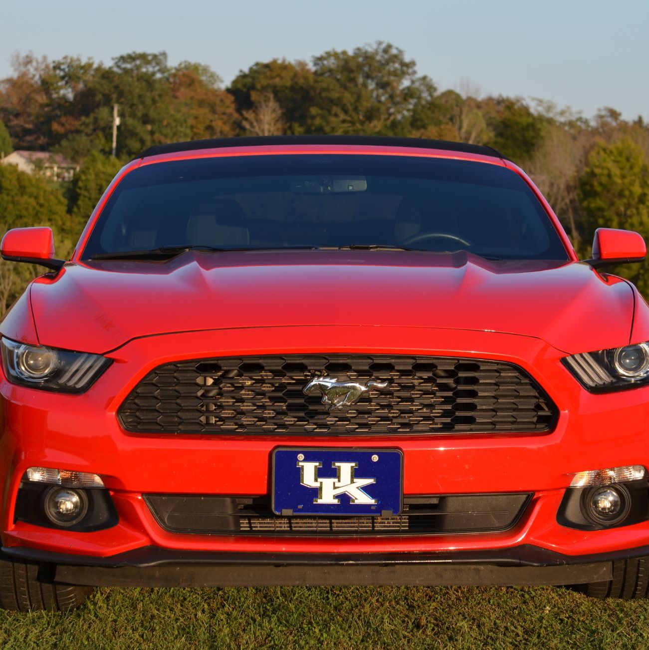 Profile of Gerald Cundiff