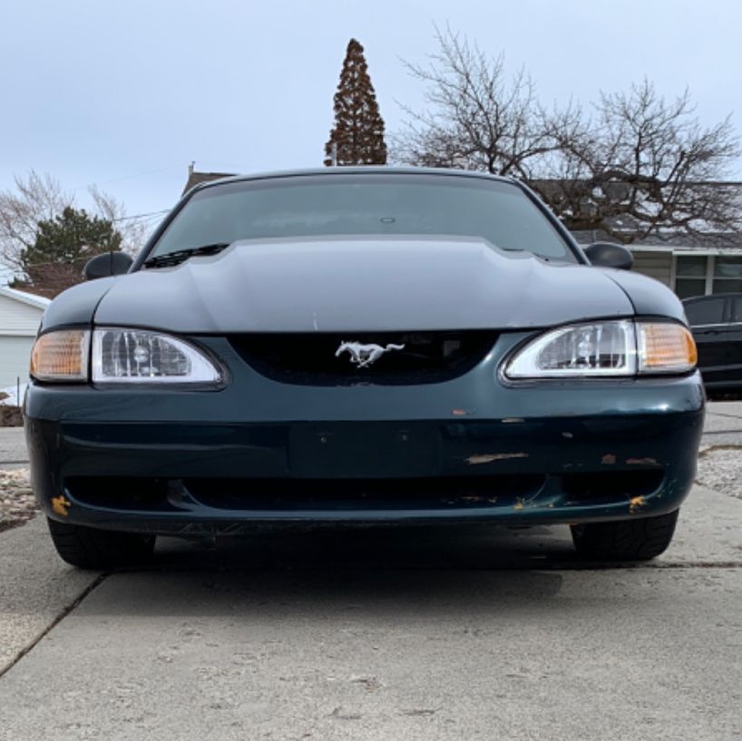 Profile of Eric Wiborg